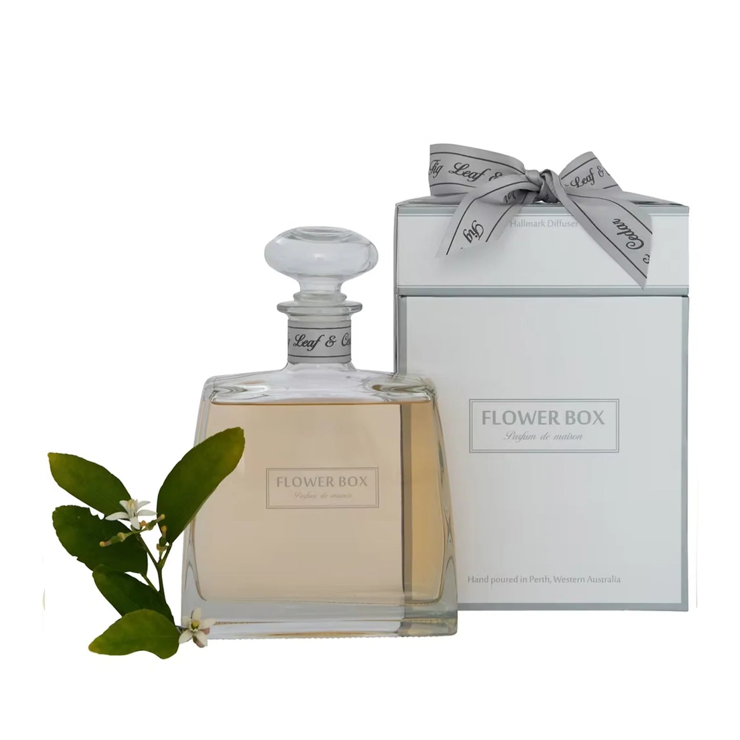 FIG LEAF & CEDAR - HALLMARK DIFFUSER (700ML)