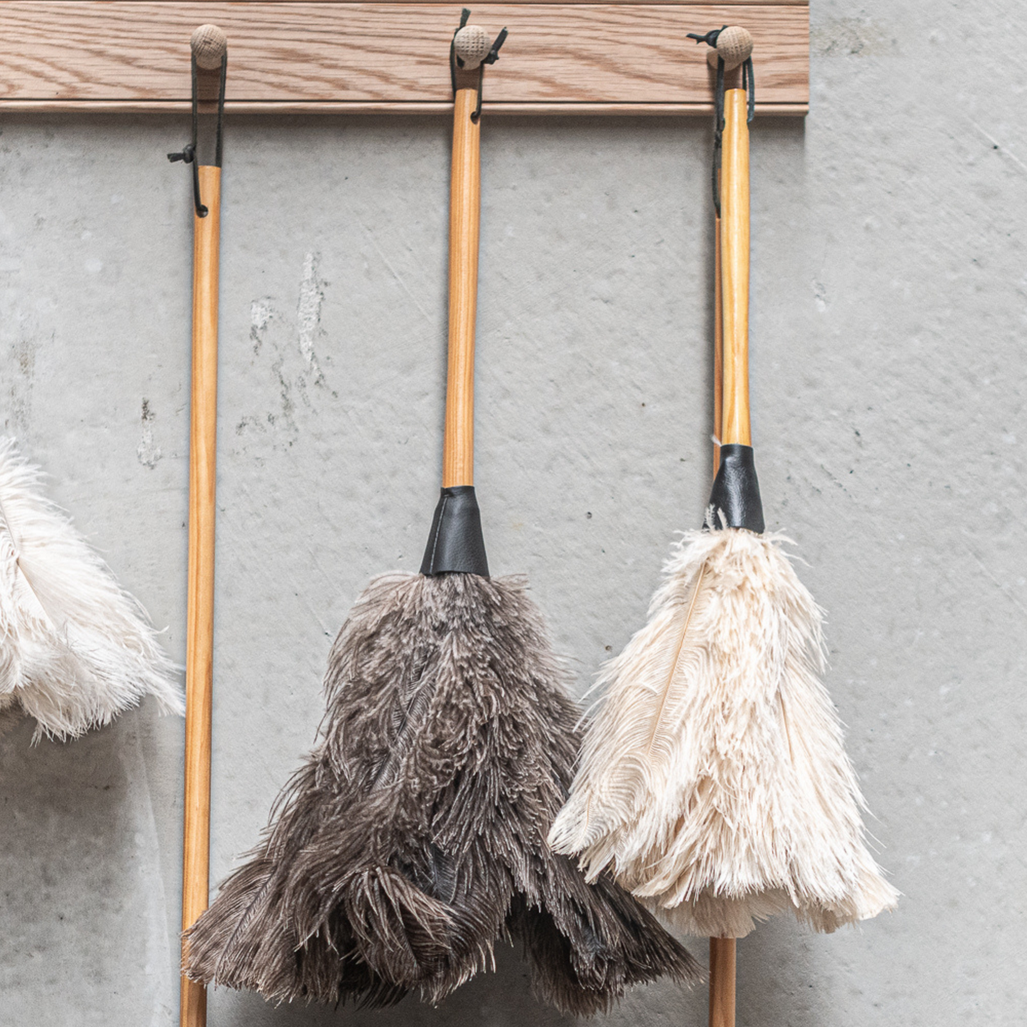 Feather Duster Natural