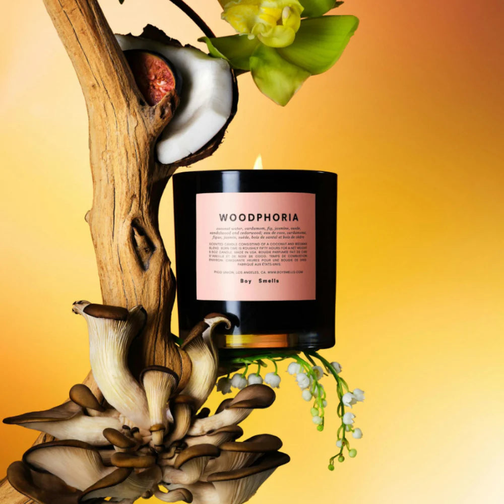 Boy smells- Woodphoria standard candle