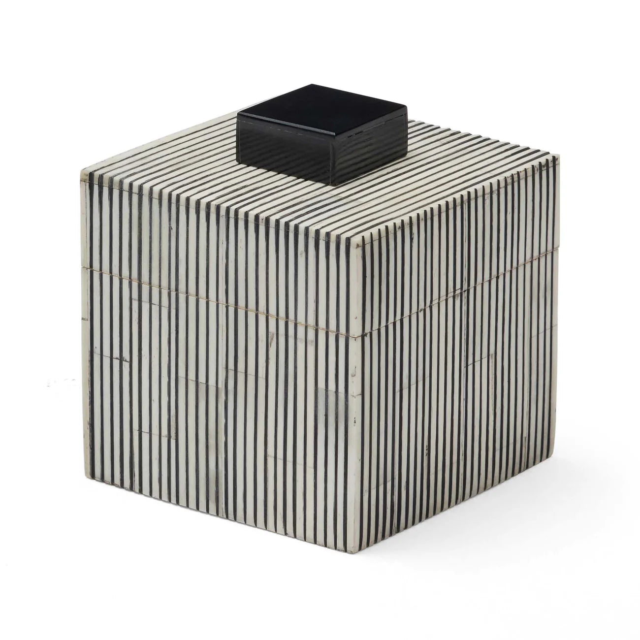 Bande bone square box
