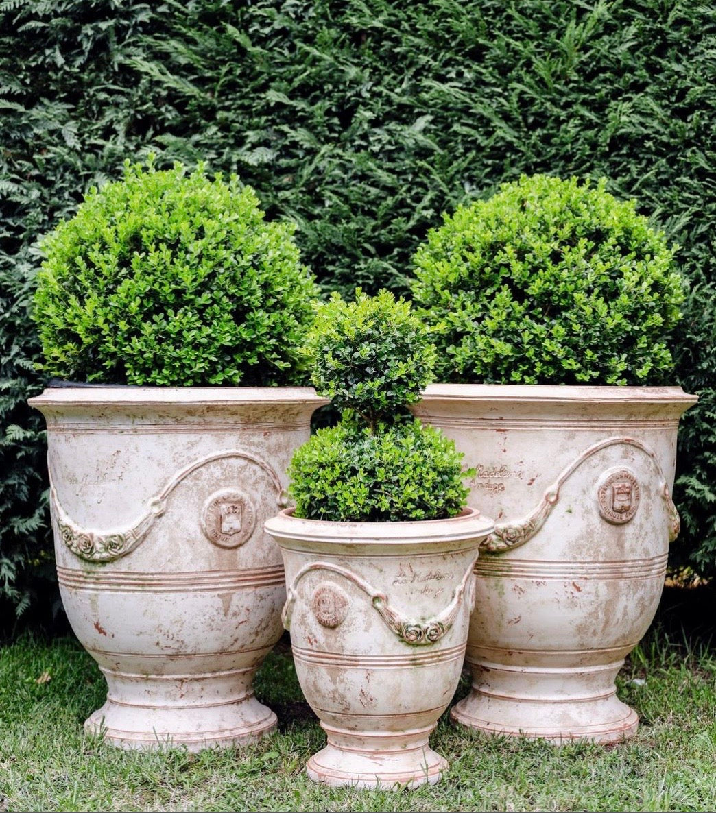 Jardiniere Collective - Medium French Anduze Vase