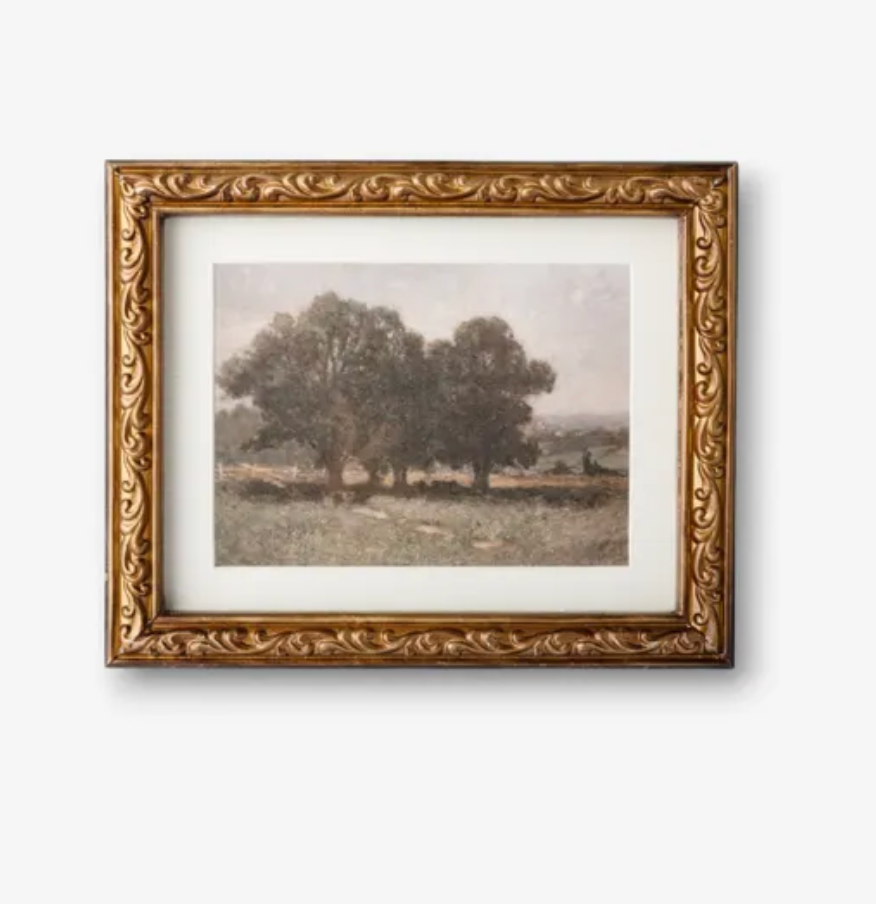 Stand Of Trees
