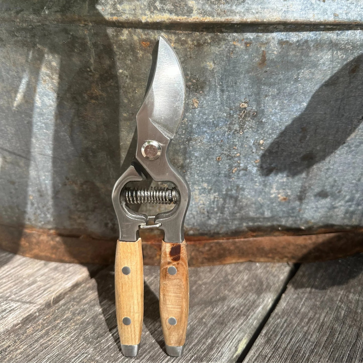 Secateurs ash handle