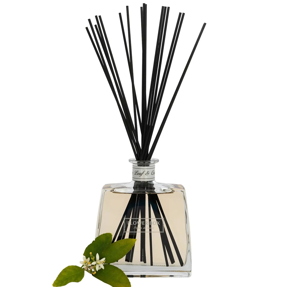 Fig Leaf & Cedar - Flower Box Diffuser