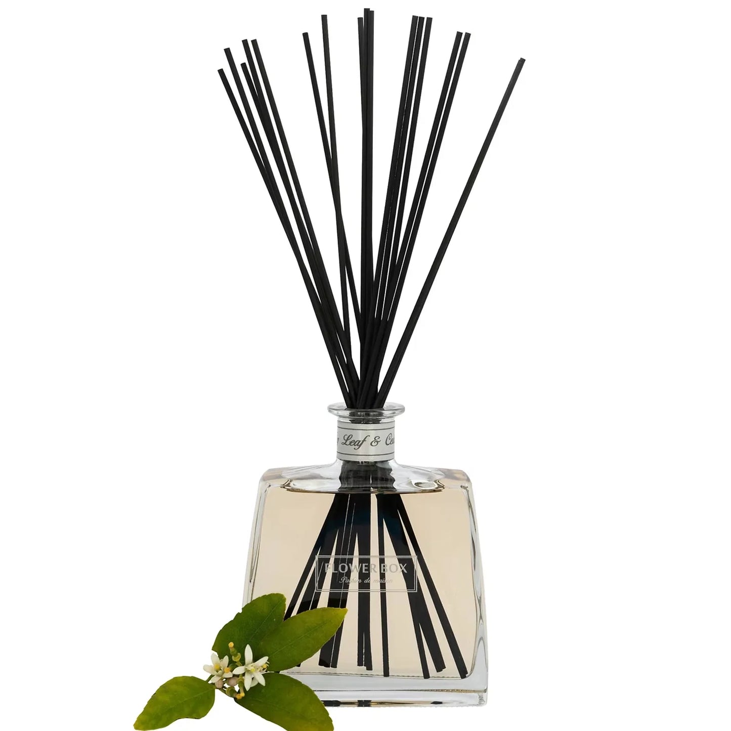 FIG LEAF & CEDAR - HALLMARK DIFFUSER (700ML)