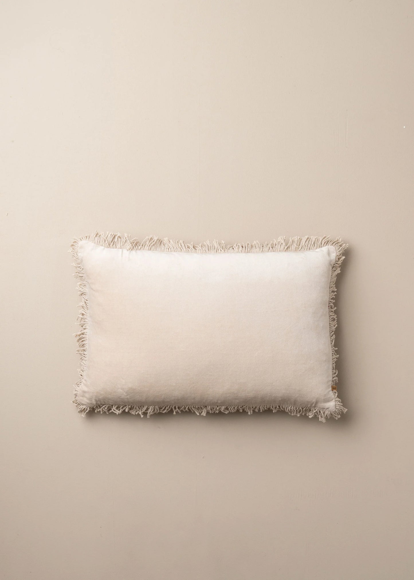 Velvet Fringed Cushion | Clay