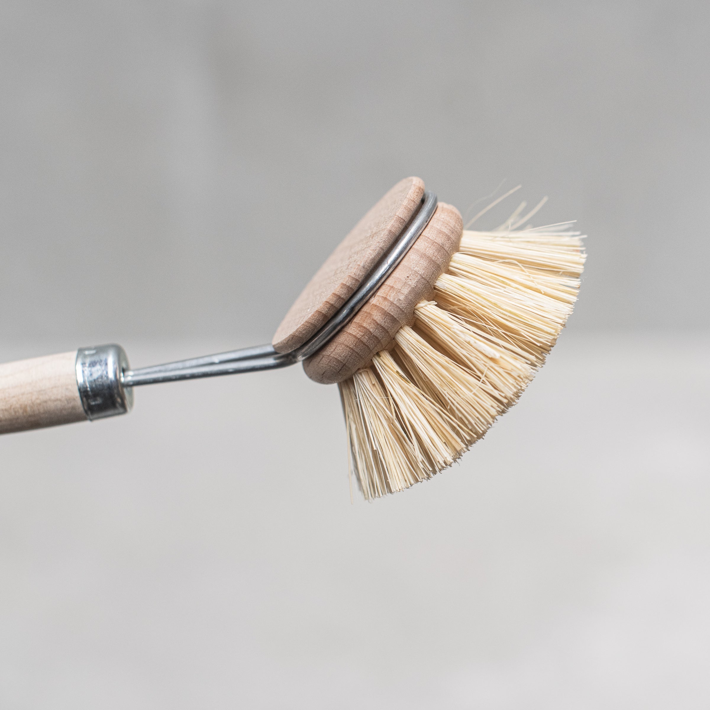 Dish Brush 40mm