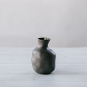 Sake Bottle