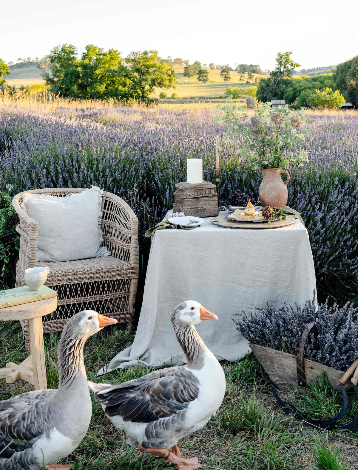 Long Lunch Linen - Natural Bircher Linen Tablecloth