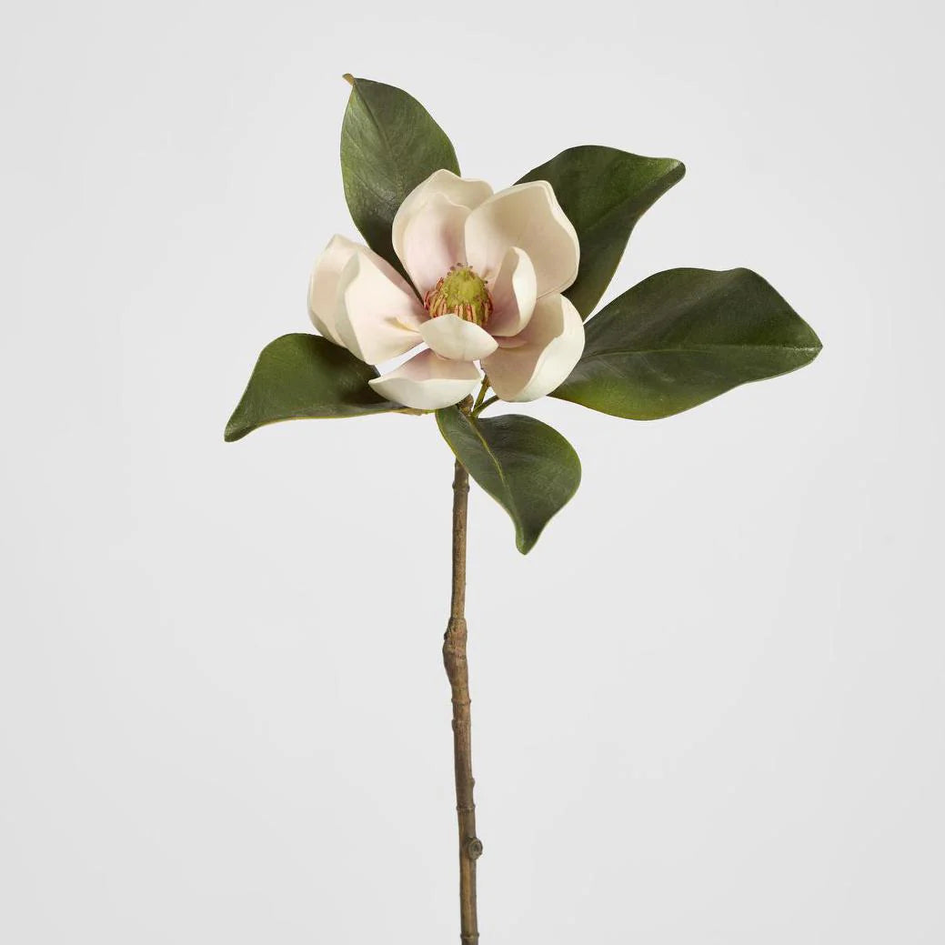 Magnolia Short Stem Light Pink