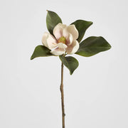 Magnolia Short Stem Light Pink