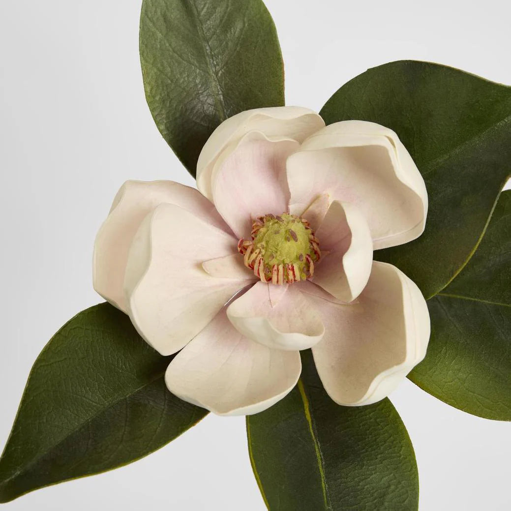 Magnolia Short Stem Light Pink