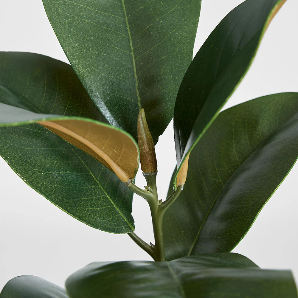 Magnolia Real Touch Leaf Spray
