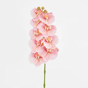 RIPPLE PHALAENOPSIS STEM Pink