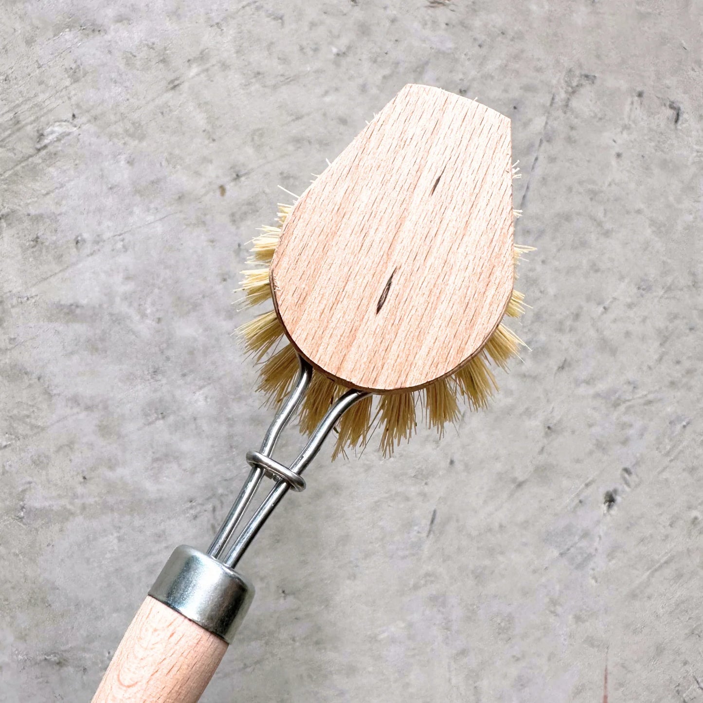 Dish Brush Pointed Head