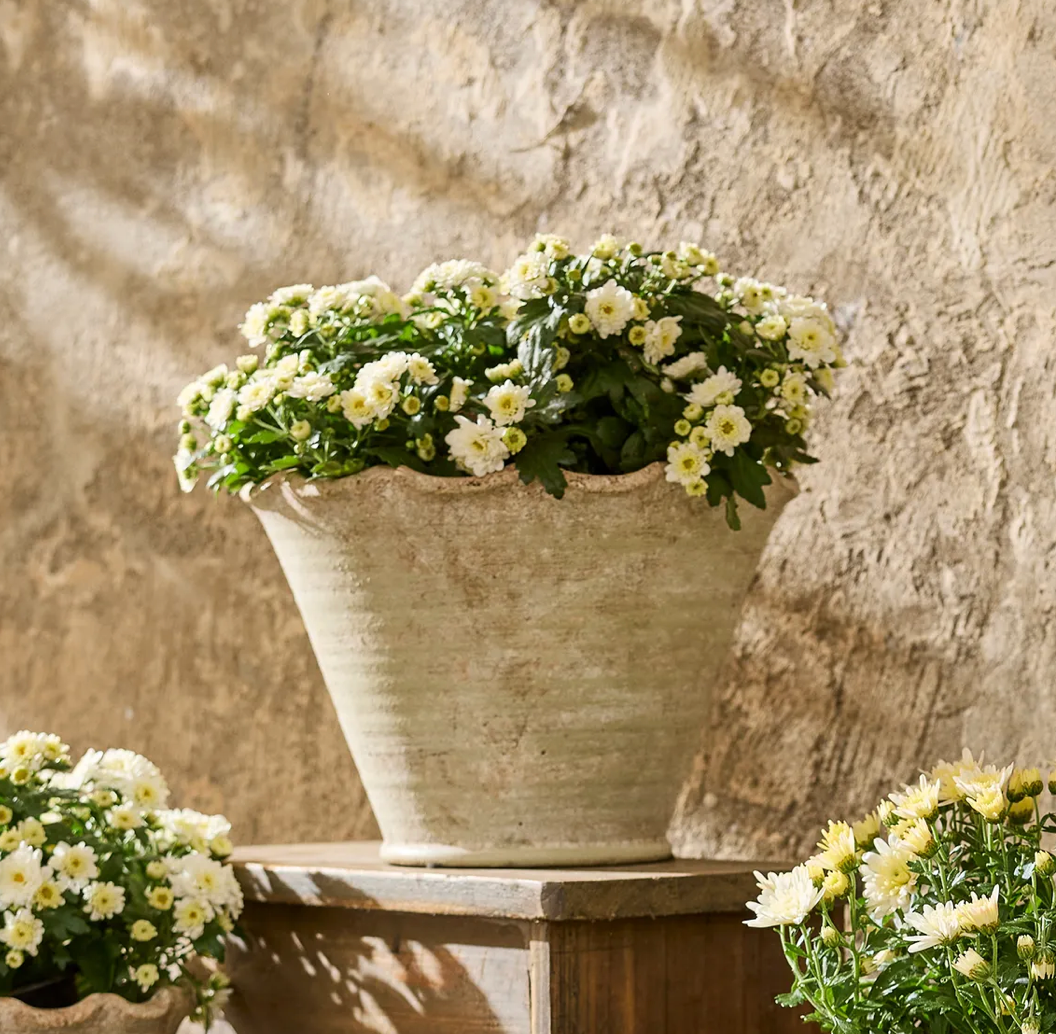 Wavy Planter Pot Large