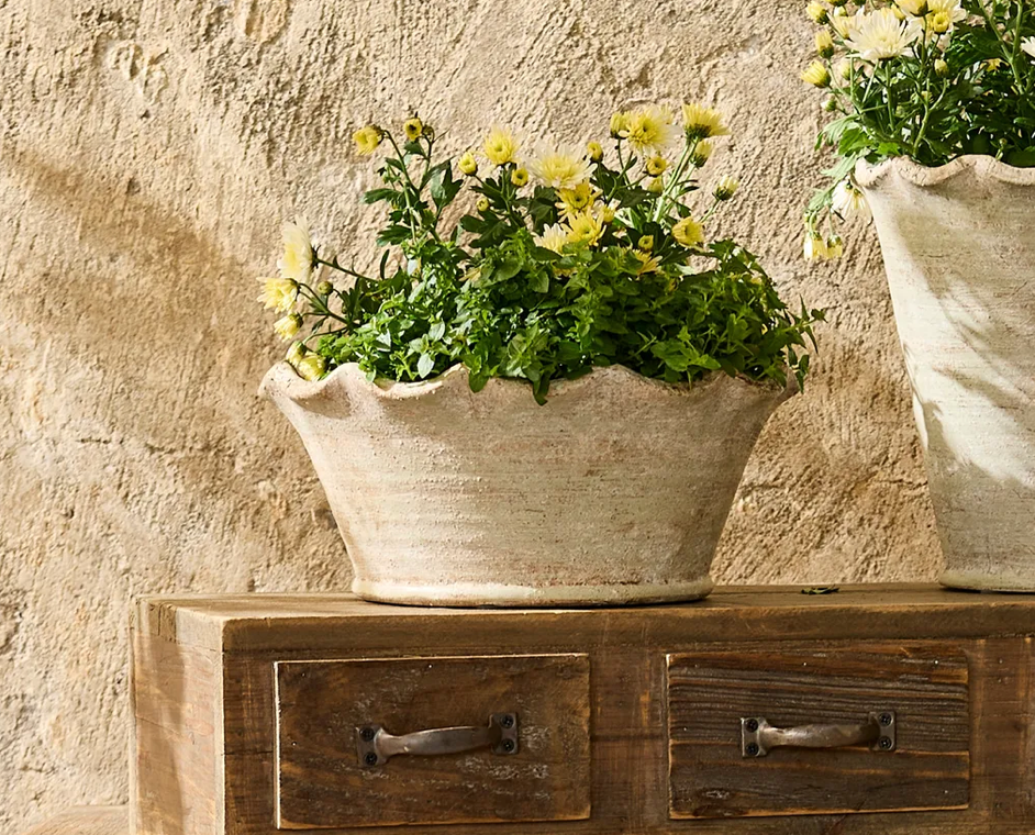 Wavy Planter Bowl