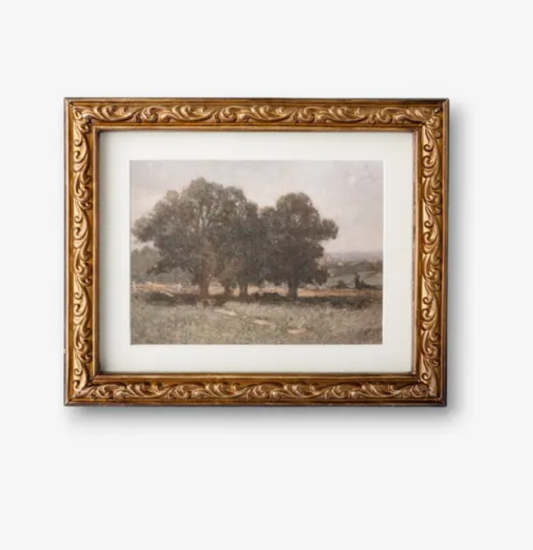 Stand Of Trees
