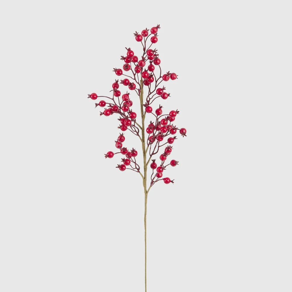 Gloss Berry Red Stem