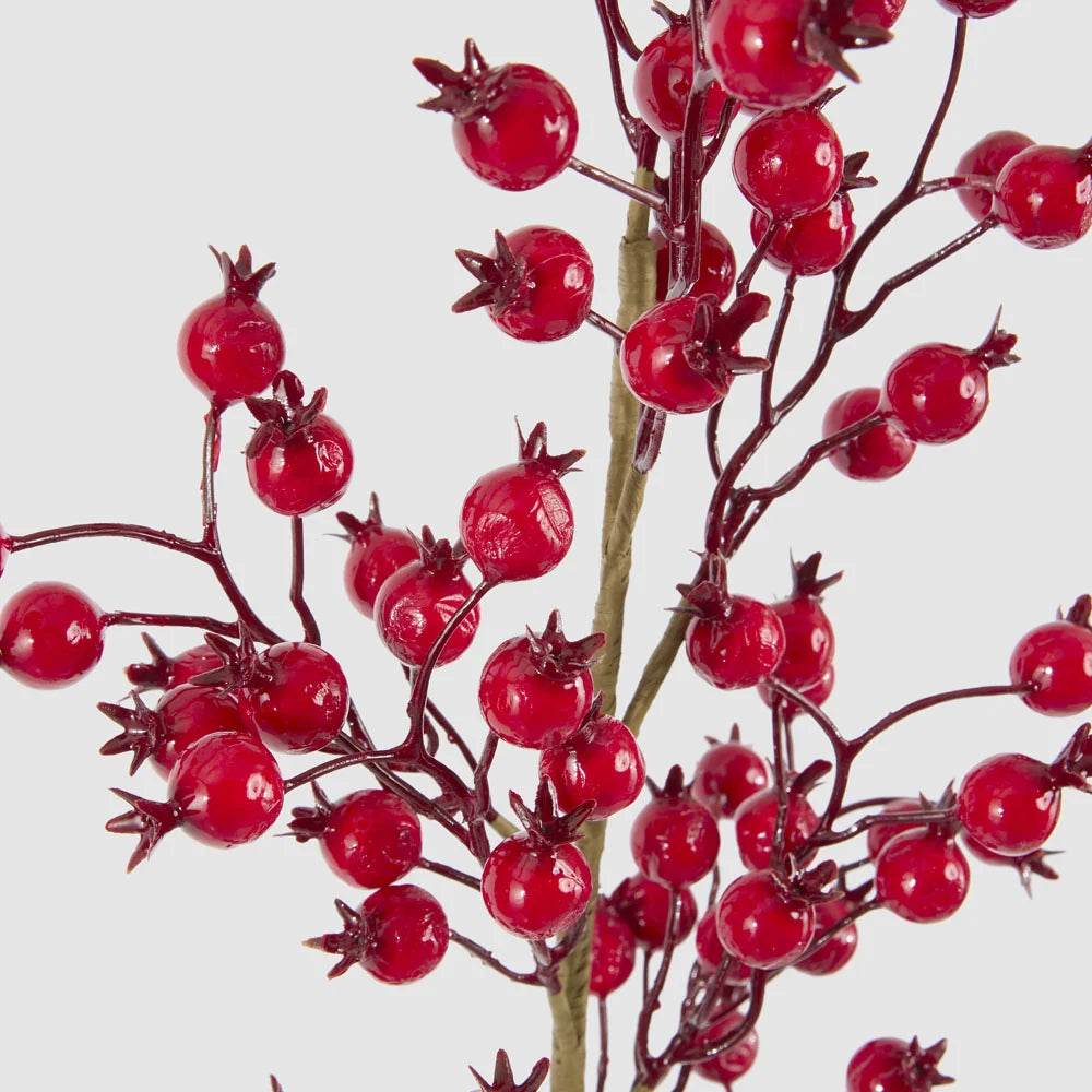 Gloss Berry Red Stem