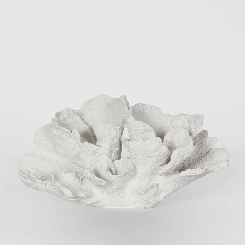 Laguna White Cora