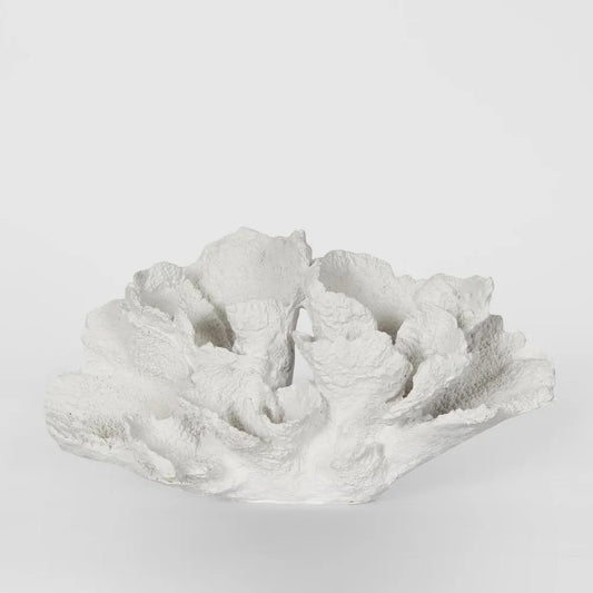 Laguna White Cora