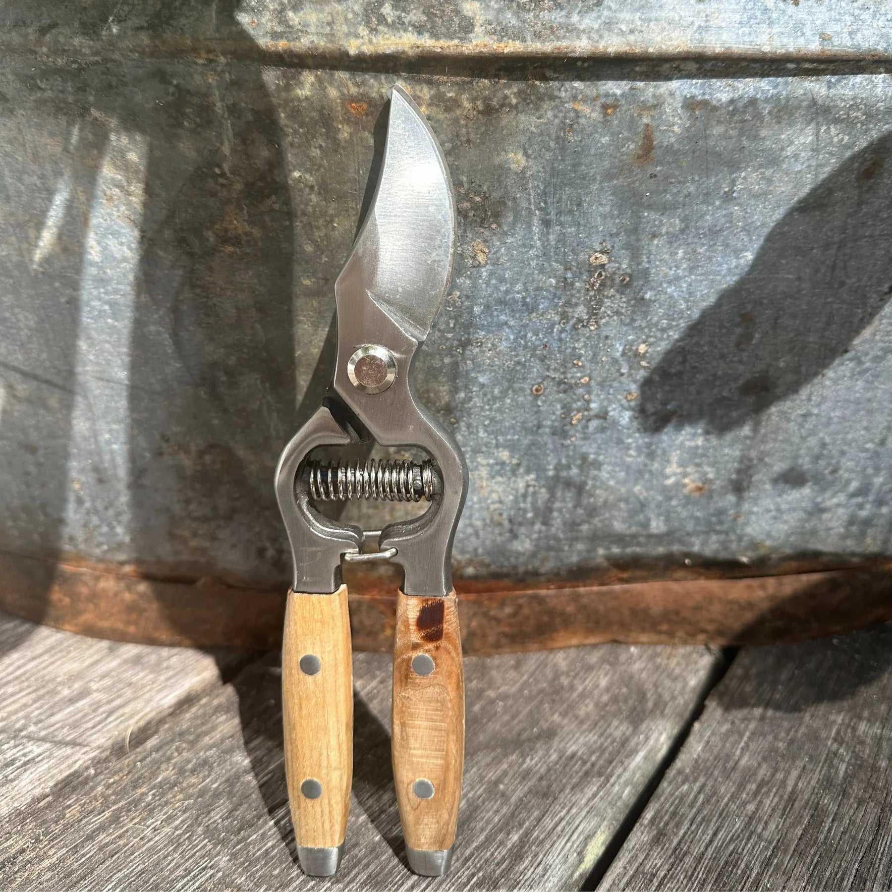 Secateurs ash handle
