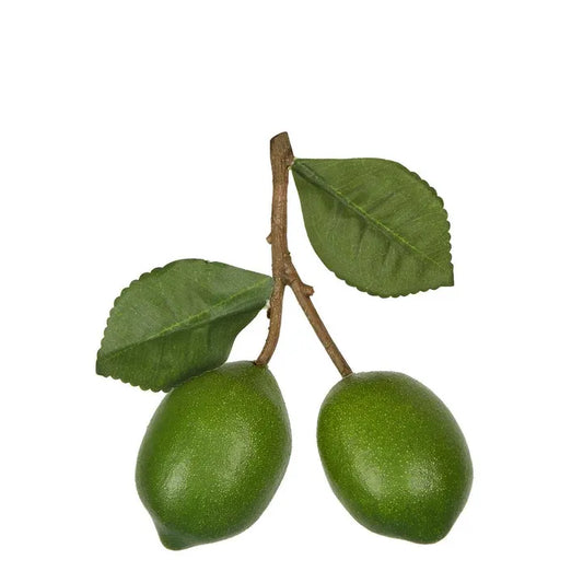 LIME BRANCH GREEN