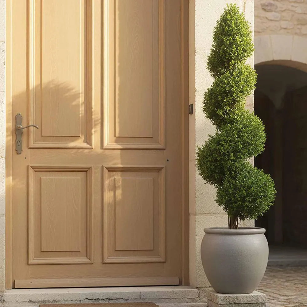 BOXWOOD SPIRAL TREE 1.4M