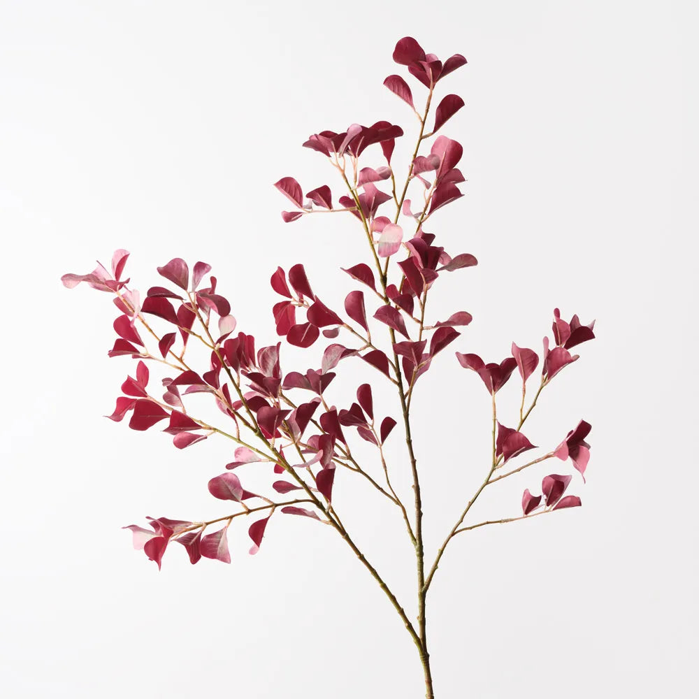 Triangle Ficus Spray