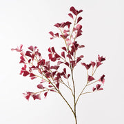 Triangle Ficus Spray