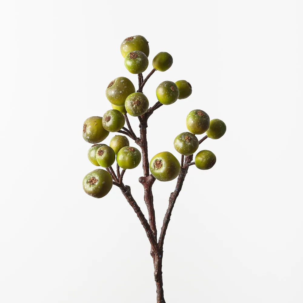 Loquat Spray