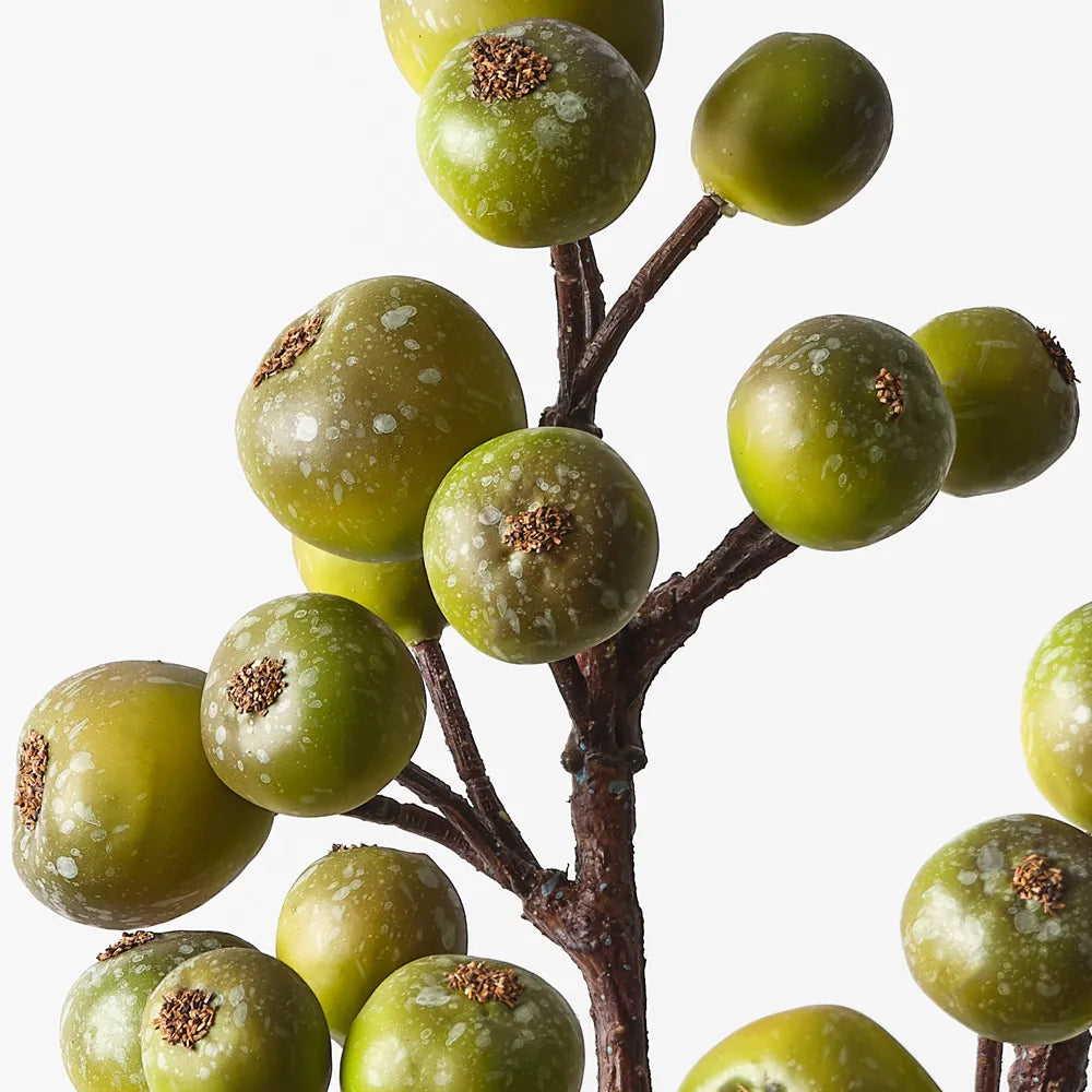 Loquat Spray