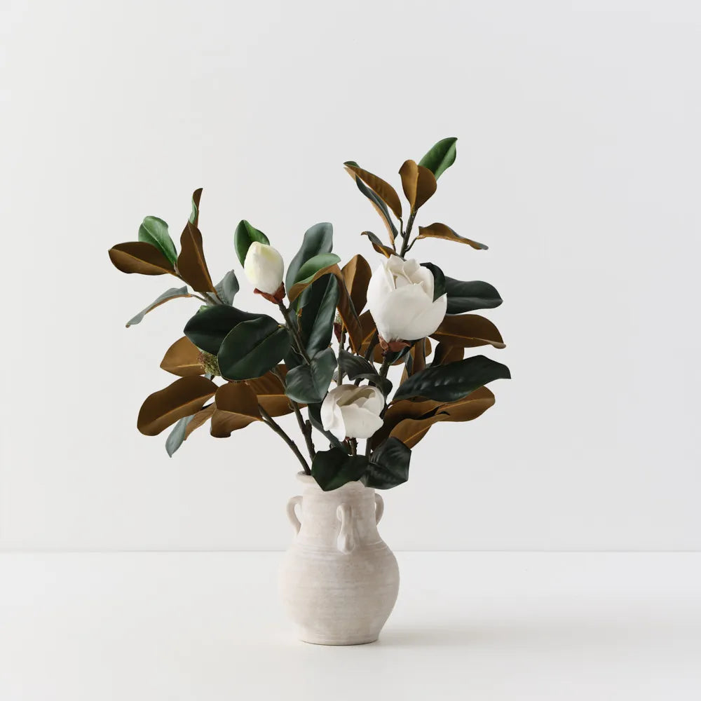 Magnolia Mix in Pot