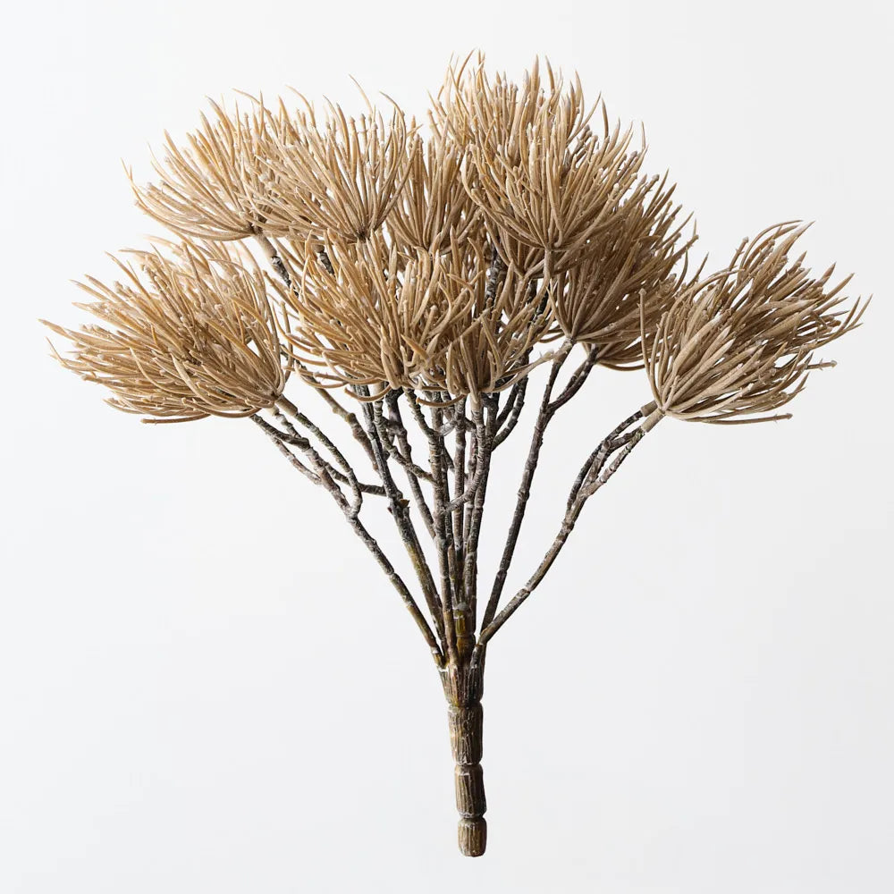 Thistle Bush