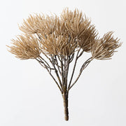Thistle Bush