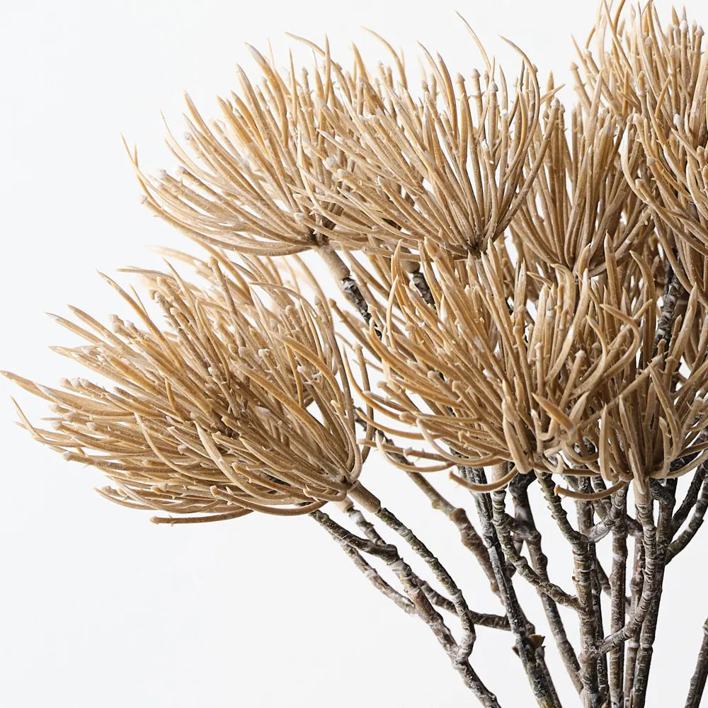 Thistle Bush