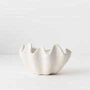 Nereus Shell Bowl