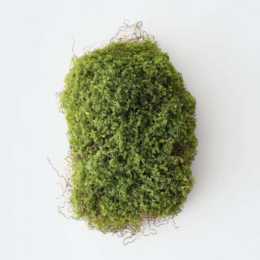 Moss