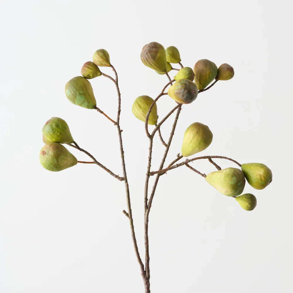 Fig Spray Green Burgundy