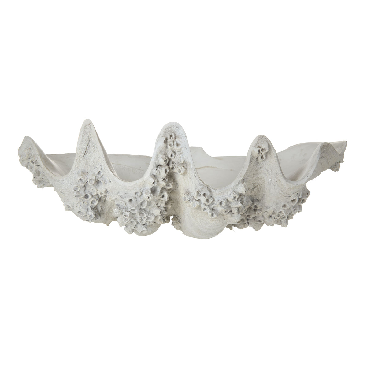 ROGUE SEYCHELLES CLAM VESSEL