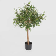 Olive Green Topping Tree