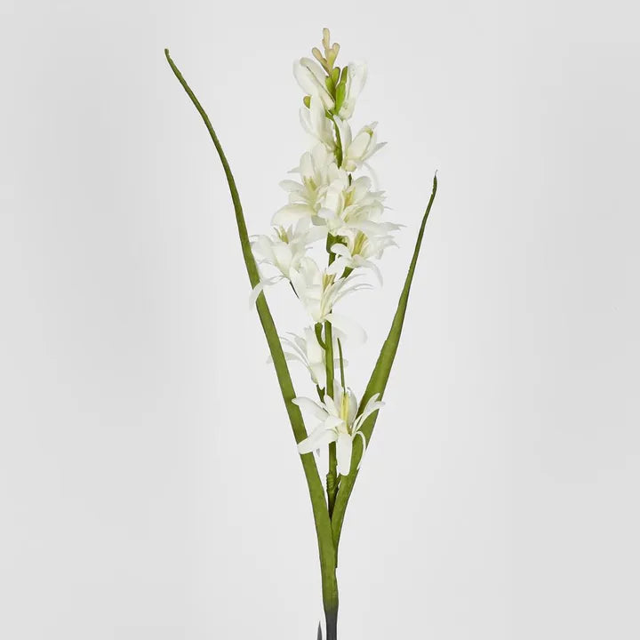 TUBEROSE 76CM