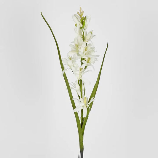 TUBEROSE 76CM