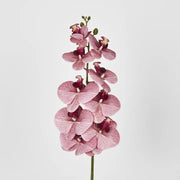 Dusty Pink Orchid Spray