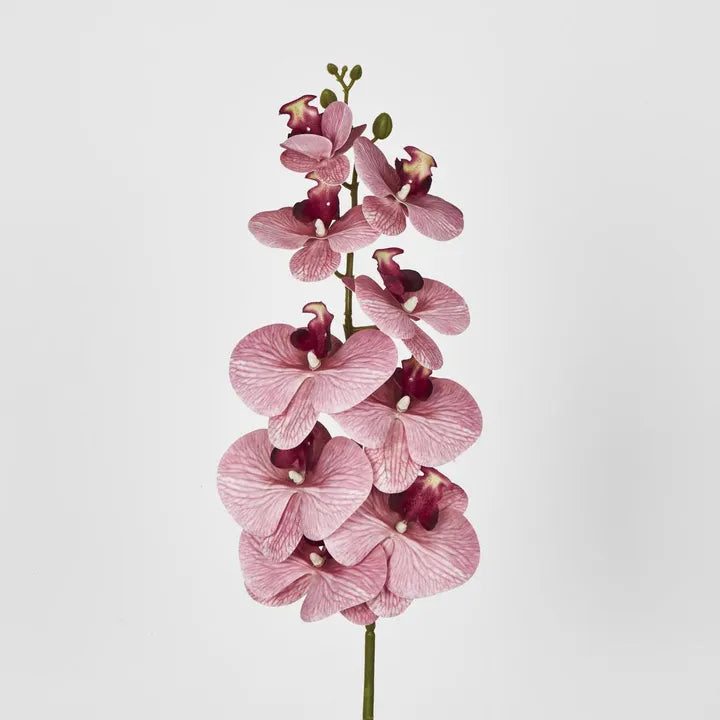 Dusty Pink Orchid Spray