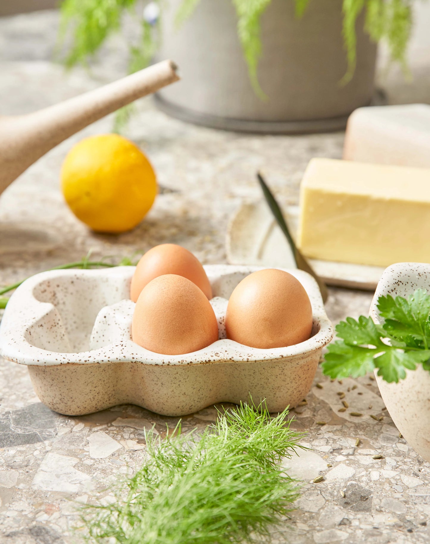 Garden to table egg crate