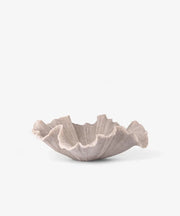 Shell Bowl Ribbed